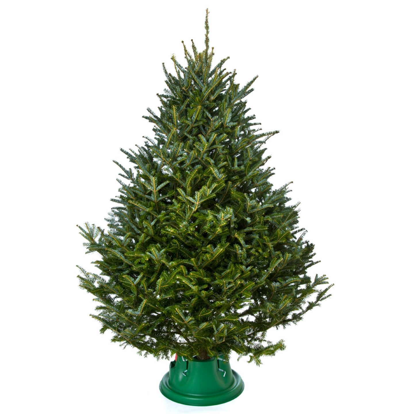 Christbaumständer im Vergleich: Diese Modelle schneiden gut ab