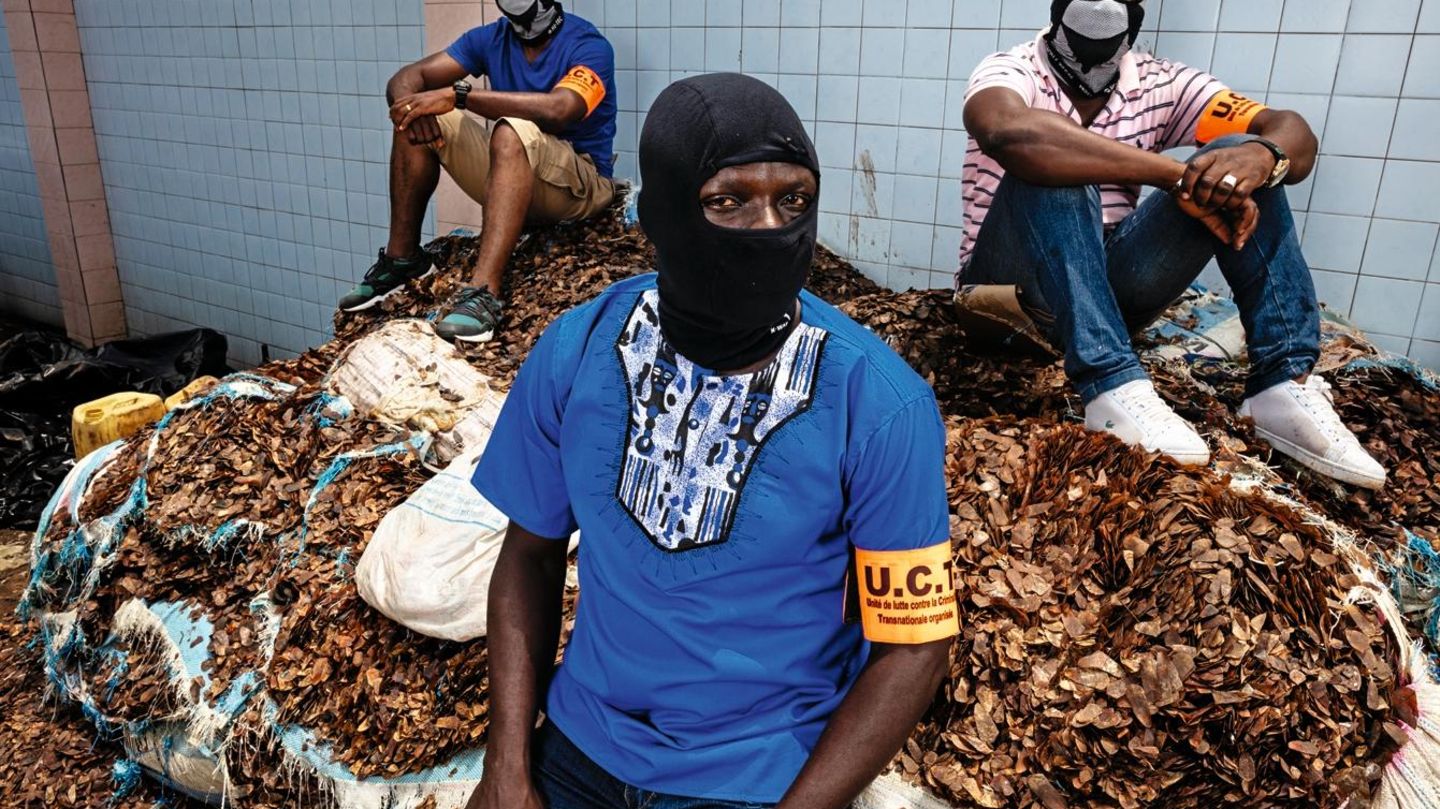 Polizisten zeigen beschlagnahmte 3600 Kilogramm Schuppen