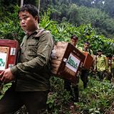 Vietnamesische Tierschützer