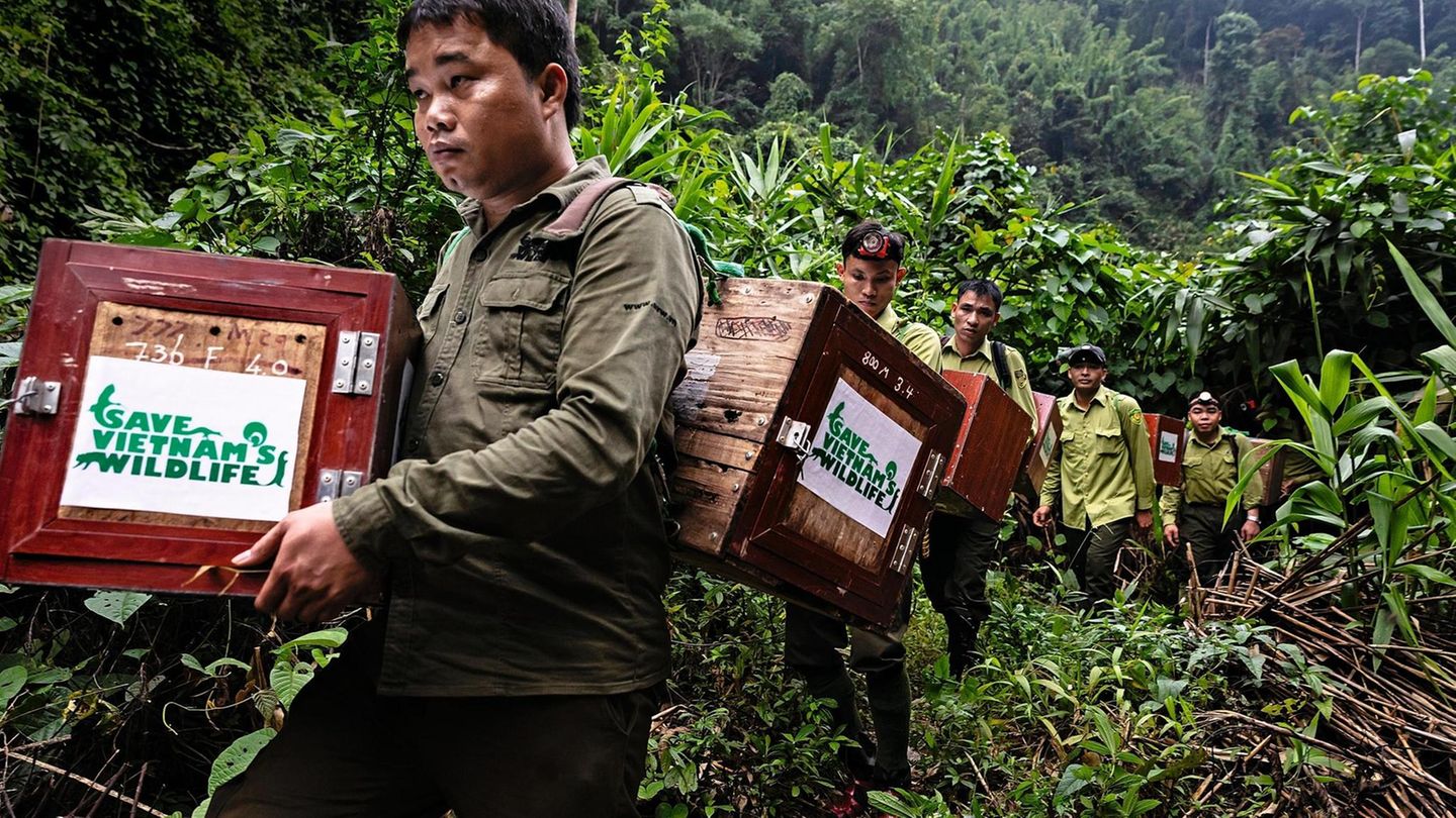 Vietnamesische Tierschützer