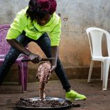 Eine Lebensmittelverkäuferin entschuppt ein Jungtier