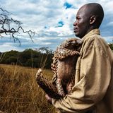 Ein Betreuer hält einen Pangolin