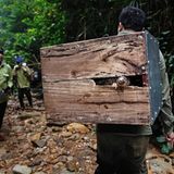 Tierschützer füttern in Vietnam Pangoline