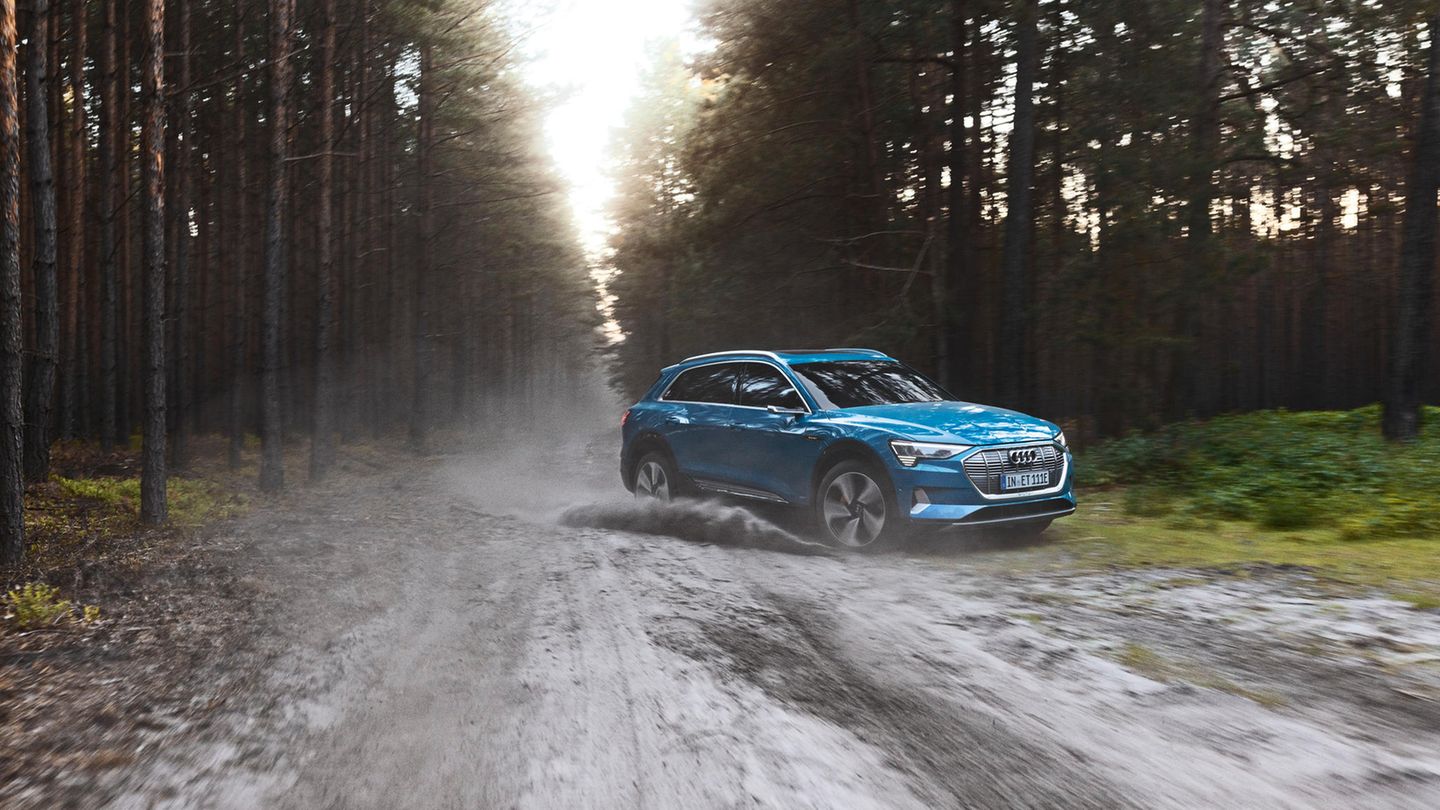 Audi und Porsche  Die beiden Oberklassen-Geschwister aus der Volkswagenfamilie setzen wie ihre Mutter auf ein neues Baukastensystem für ihre E-Autos: das PPE - "Premium Platform Electric". Im Vergleich zum MEB-System für die Mittelklasse ist PPE auf hohe Spitzengeschwindigkeiten, Beschleunigung und Ladezeit optimiert. So soll das Laden der Audi und Porsche Luxusautos von 20 auf 80 Prozent nicht länger als 40 Minuten dauern. Da PPE keine Rücksicht auf herkömmliche Antriebstechniken nehmen muss, planen die Designer mit einer völlig neuen Formensprache - außen wie innen. Bereits 2021 soll das erste PPE-Oberklassenauto in die Verkaufsräume kommen. Doch schon davor wird es mit dem "e-tron" ein E-Fahrzeug von Audi geben. Porsche bietet mit dem Taycan einen reinrassigen E-Sportwagen. Die beliebte Panamera-Serie setzt auf Plug-In-Hybride, also die Kombination von Verbrennungsmotor und einem E-Antrieb, der auch am Stromnetz aufgeladen werden kann.