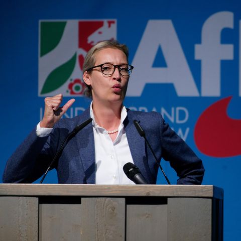 Anschlag in Halle: "Geistige Brandstifter" – So wehrt sich Alice Weidel gegen die Vorwürfe