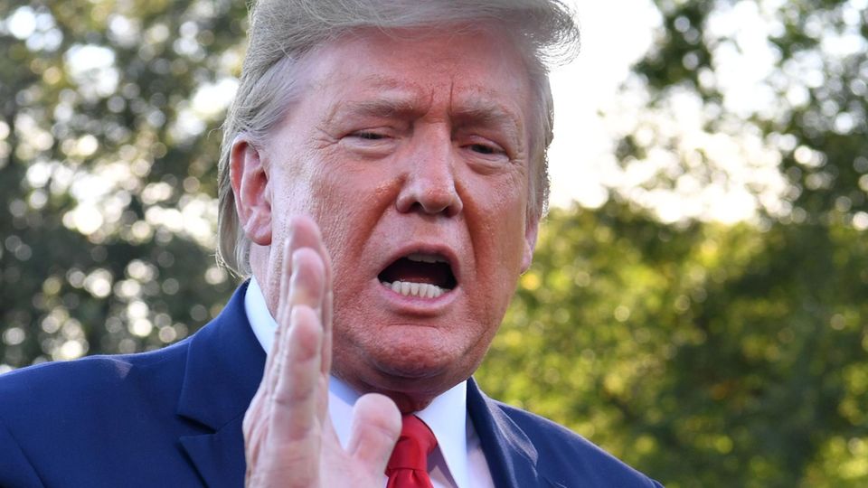 Donald Trump vor dem Weißen Haus in Washington Donald Trump vor dem Weißen Haus in Washington
