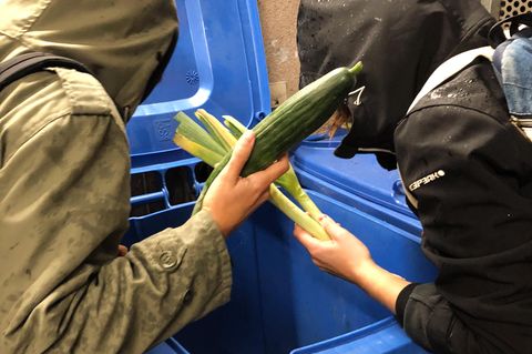 Containern bleibt in Deutschland weiterhin verboten 