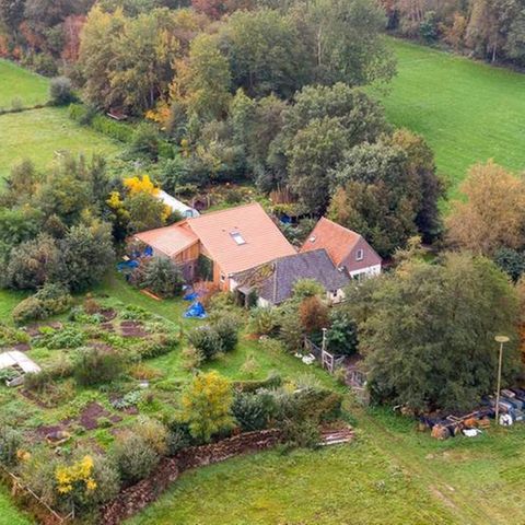 Bauernhof in Drenthe