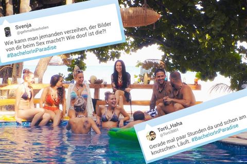 Bei Twitter wird über die erste Folge von "Bachelor in Paradise" diskutiert