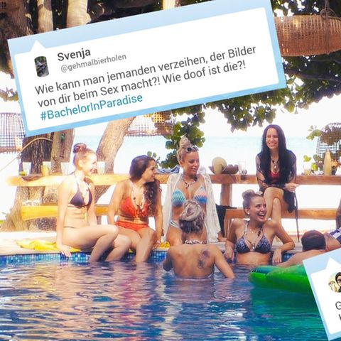 Bei Twitter wird über die erste Folge von "Bachelor in Paradise" diskutiert