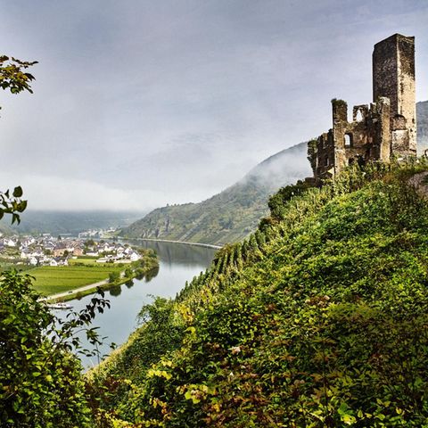 "Strom, der kein Geheimnis kennt", so besang der Dichter Ausonius um 371 der Mosel klares Wasser. Darüber thront die Burgruine Metternich
