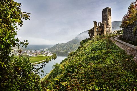 "Strom, der kein Geheimnis kennt", so besang der Dichter Ausonius um 371 der Mosel klares Wasser. Darüber thront die Burgruine Metternich