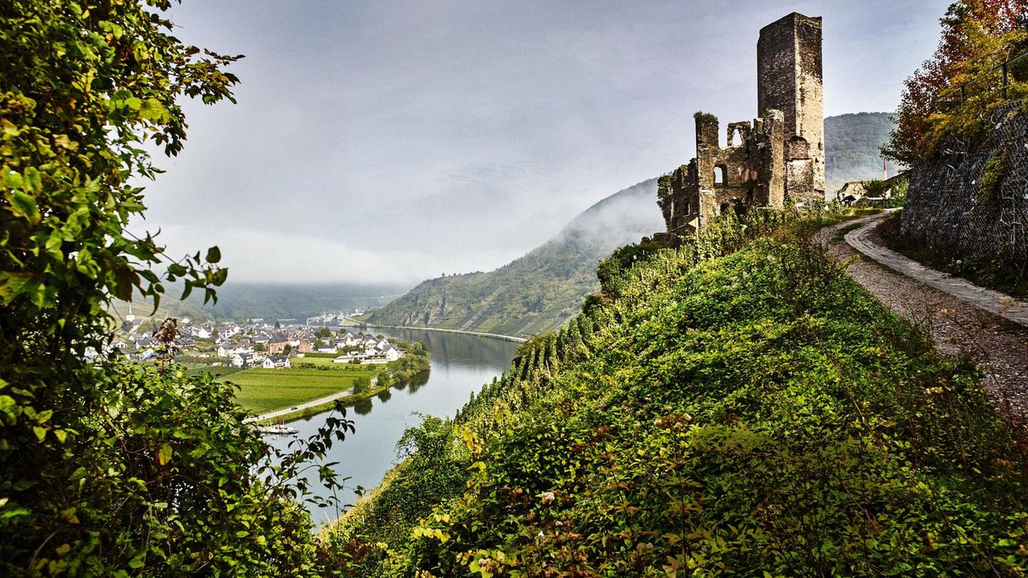 "Strom, der kein Geheimnis kennt", so besang der Dichter Ausonius um 371 der Mosel klares Wasser. Darüber thront die Burgruine Metternich
