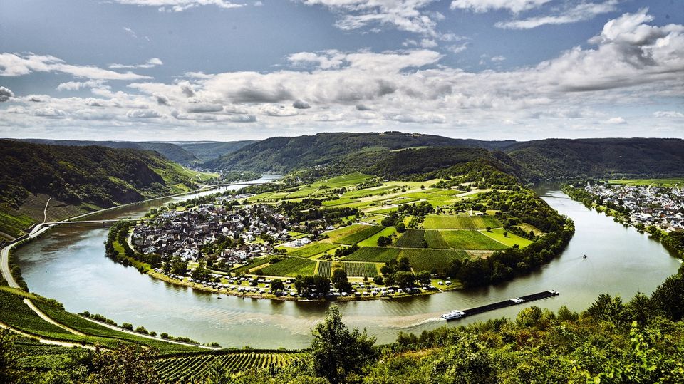 Deutschlands schönste Weingebiete: Bei Kröv ist eine der berühmtesten Moselschleifen zu bewundern. Die Ansicht ziert seit 2016 eine Briefmarke. Bei Kröv ist eine der berühmtesten Moselschleifen zu bewundern. Die Ansicht ziert seit 2016 eine Briefmarke.