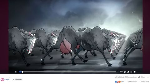 In den ersten Sekunden des Clips marschieren tausende Kühe im Gleichschritt