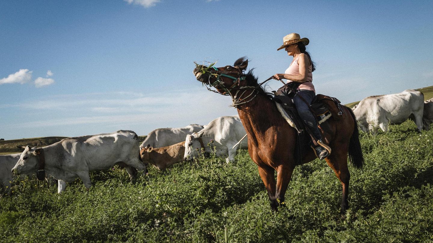 Carmelina Colan­tuono auf einem Pferd