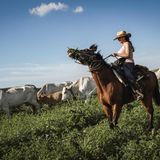 Carmelina Colan­tuono auf einem Pferd