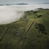 Luftaufnahme der Hirtenwege