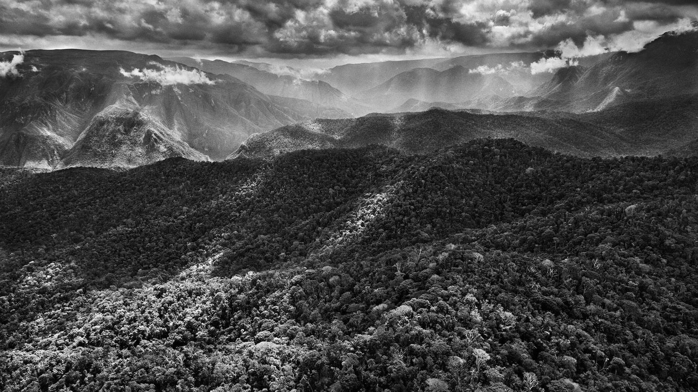 Die nebelverhüllten Berge im Norden Brasiliens