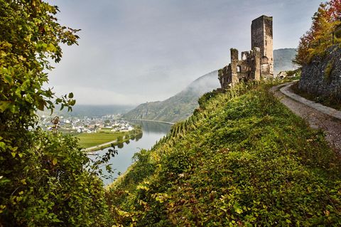 Die Burgruine Metternich