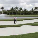 Auch Tiger Woods hat auf einem der Plätze bereits gespielt, wie hier beim Cadillac Championship Golf Tournament.