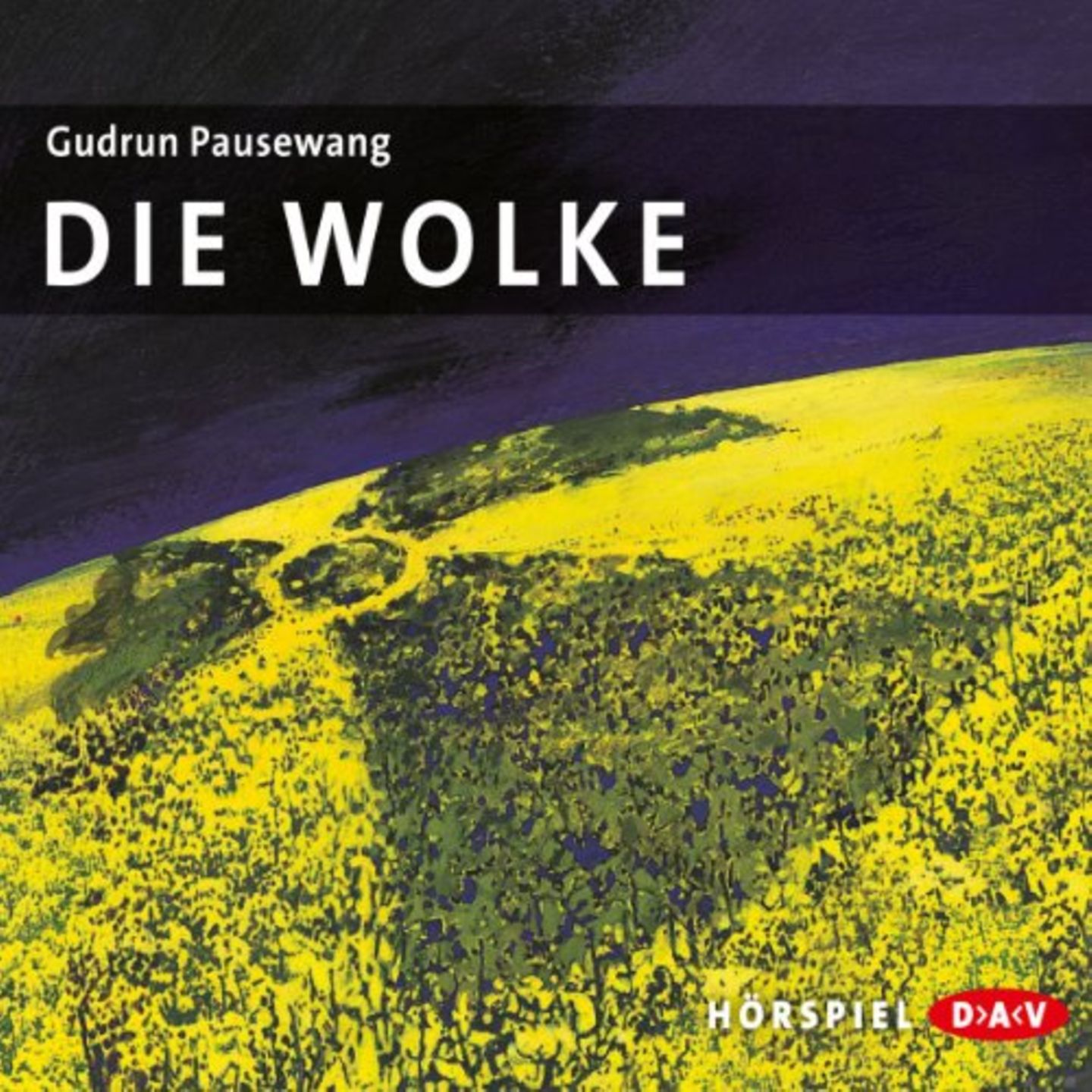 Titel Cover die Wolke