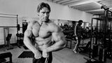 Arnold Schwarzenegger