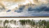 Churchill, Hudson Bay, Manitoba, Kanada