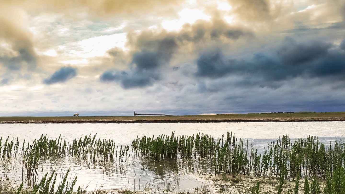 Churchill, Hudson Bay, Manitoba, Kanada