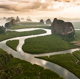 Mangrovenwälder in der Bucht von Phang Nga, Thailand