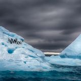 Eine Gruppe Adeliepinguine am eisigen Rand der Antarktischen Halbinsel unweit des Fortín Sargento Cabral