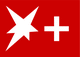 Stern Plus Logo