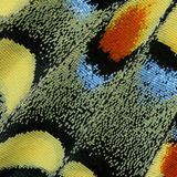 "Woven" heißt das Bild voN Hasan Baglar aus Zypern und erinnert in der Makroansicht an einen gewebten Wandteppich