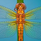 Auf Platz drei des Wettbewerbs der Kroate Petar Sabol mit dem Bild "Vitrail"