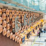 Indira Gandhi International Airport (IGI)