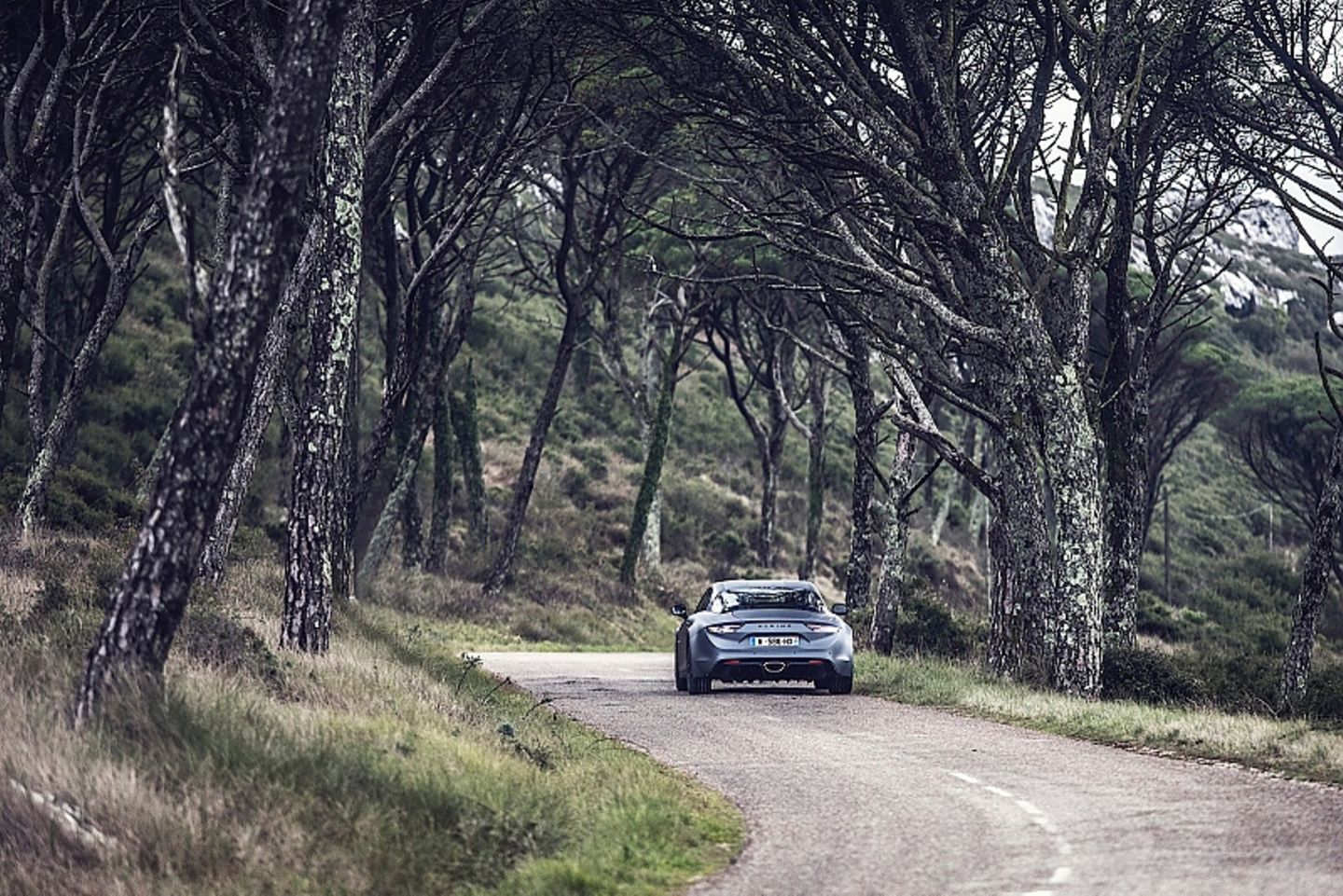 Alpine A110S