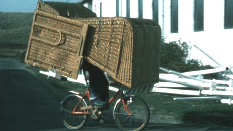 mythos zum thema haare wir klaren auf