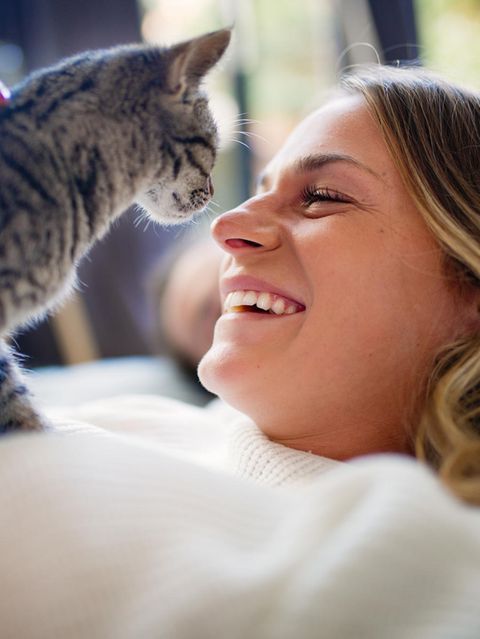 Eine Katze und ihr Herrchen
