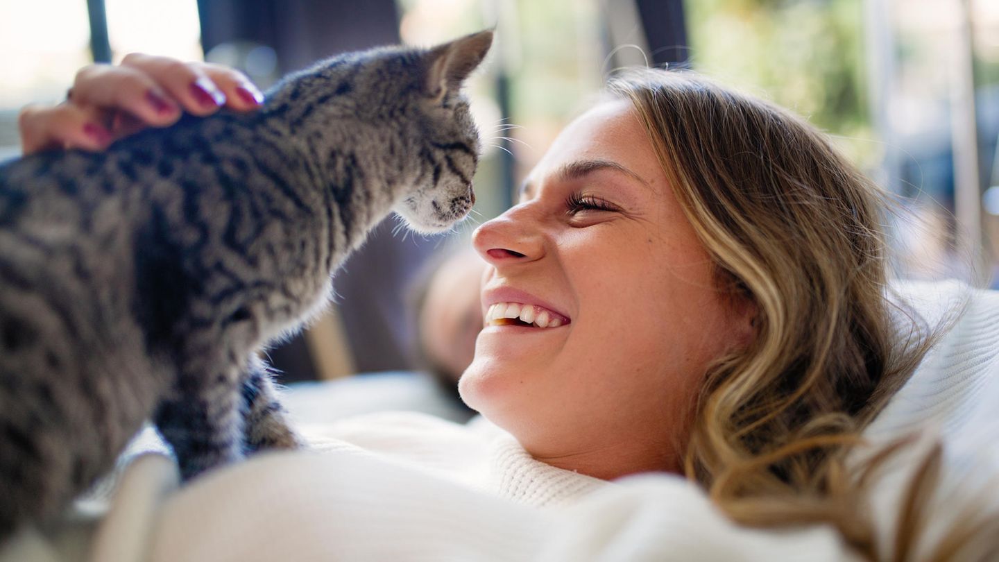 Eine Katze und ihr Herrchen