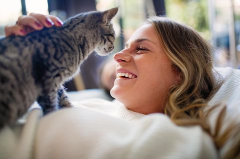 Eine Katze und ihr Herrchen