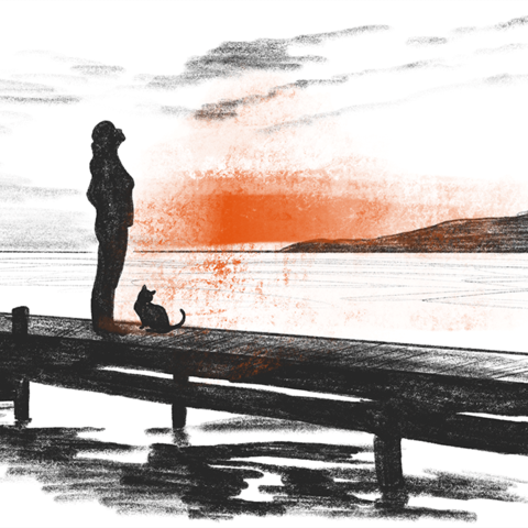 Illustration See