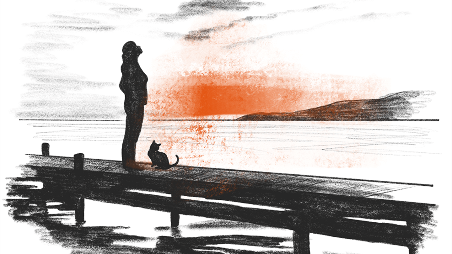 Illustration See