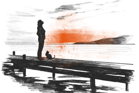 Illustration See