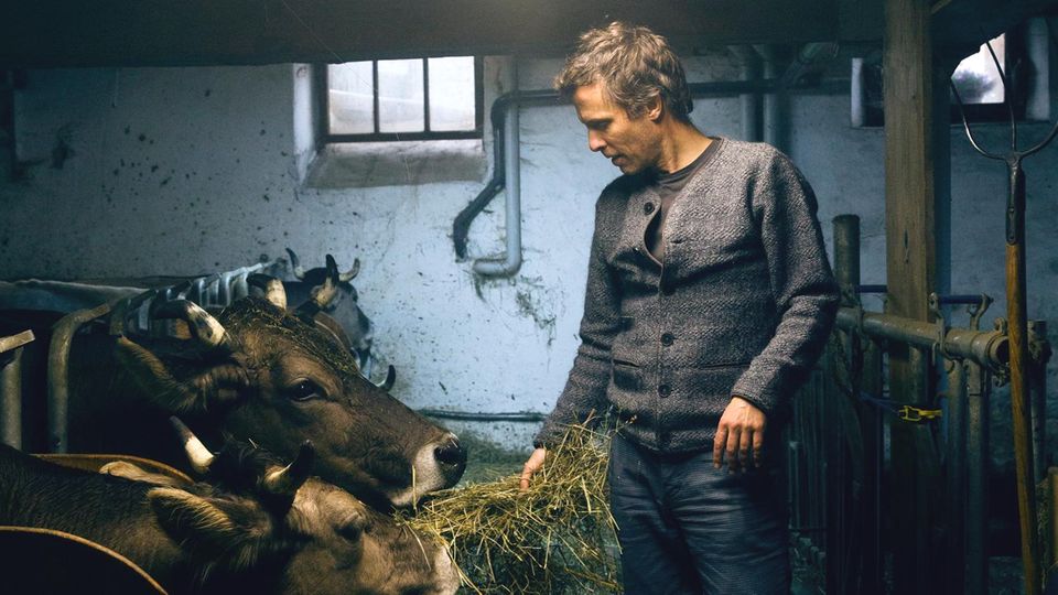 "Das System Milch": Regisseur Andreas Pichler über den Milch-Irrsinn