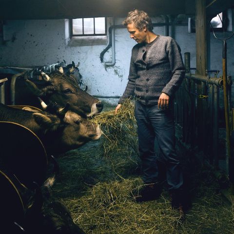 "Das System Milch": Regisseur Andreas Pichler über den Milch-Irrsinn
