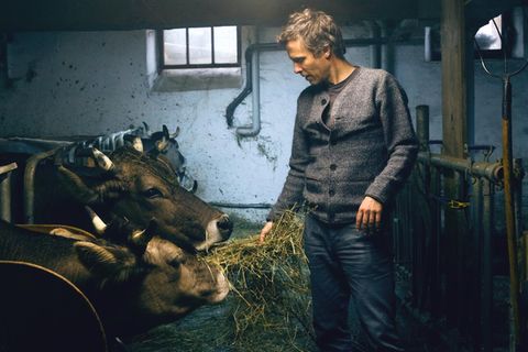 "Das System Milch": Regisseur Andreas Pichler über den Milch-Irrsinn