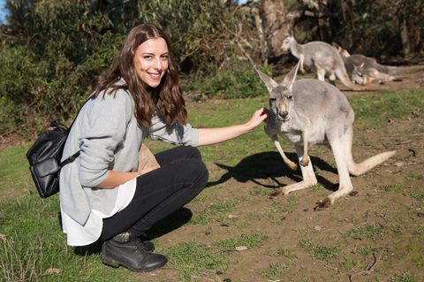 Gericht kassiert Australiens "Backpacker-Steuer" als unzulässig ein