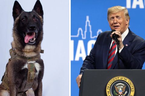 Conan und Donald Trump