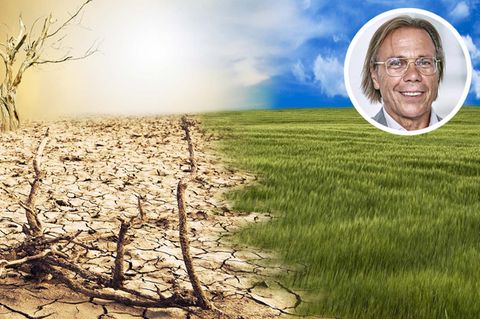 Gegenüberstellung verdorrte Wüste und grüne Wiese
