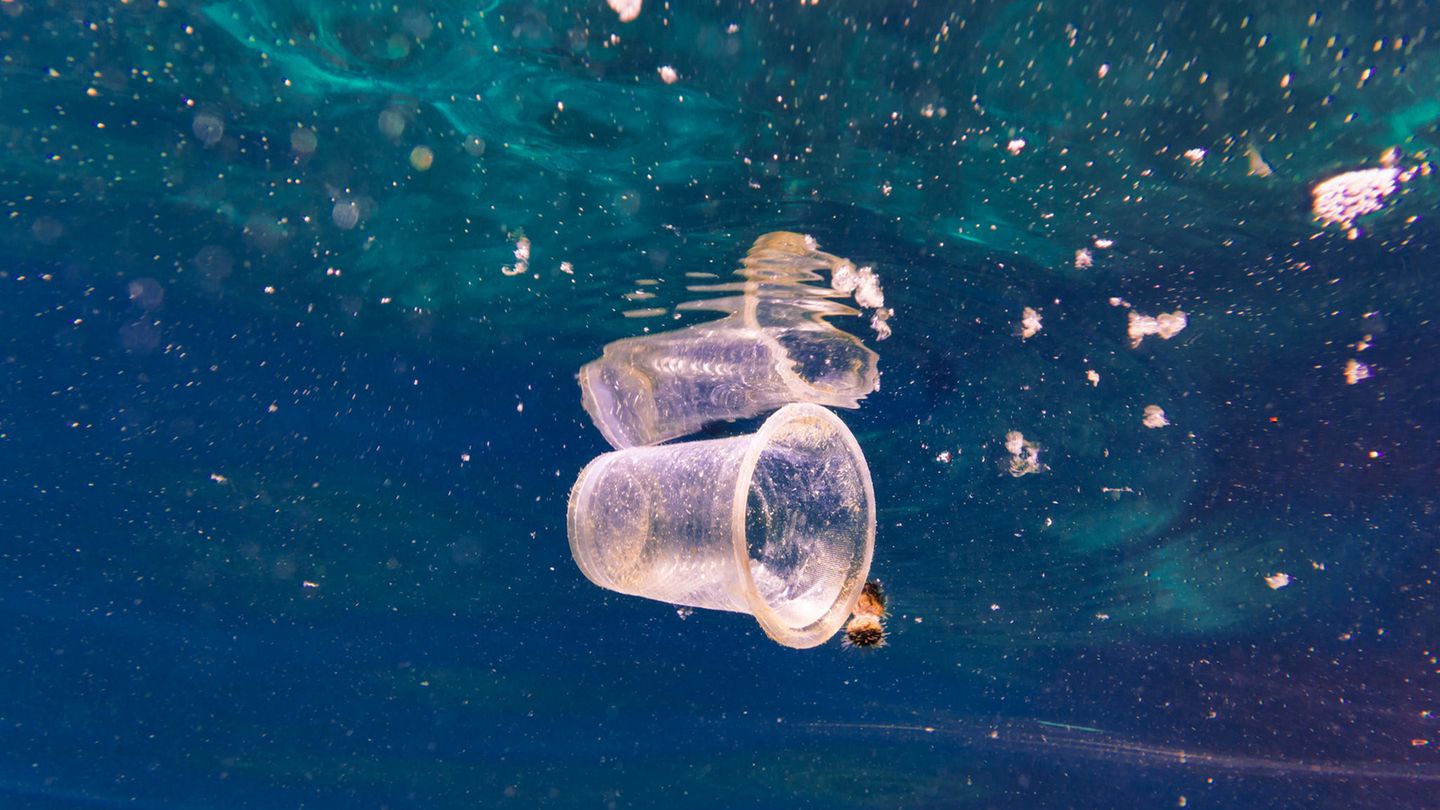 Platikbecher im Gewässer